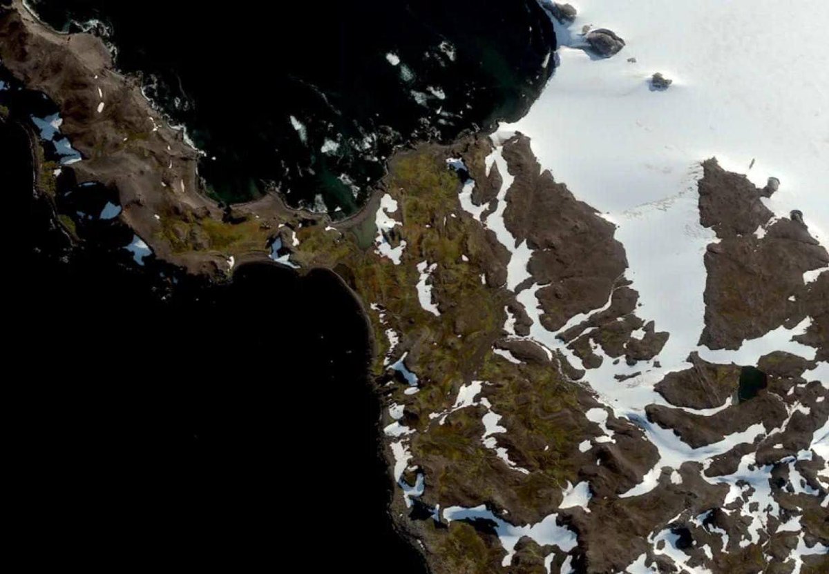 Antarctica is actively turning green. Everyone was shocked by satellite images showing moss instead of ice.

In the last 40 years, the area covered by plants has increased tenfold.

It seems that global warming is no joke.