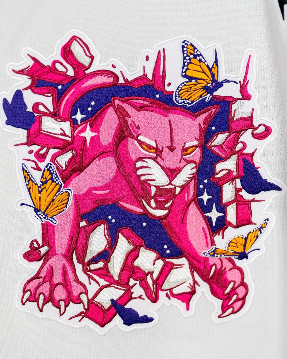 BarDown's tweet image. The Florida Panthers are celebrating breast cancer awareness month by releasing these “Pink in the Rink” jerseys that will be up for auction with proceeds benefitting Promise Fund 🫶

(📸: @FlaPanthers)