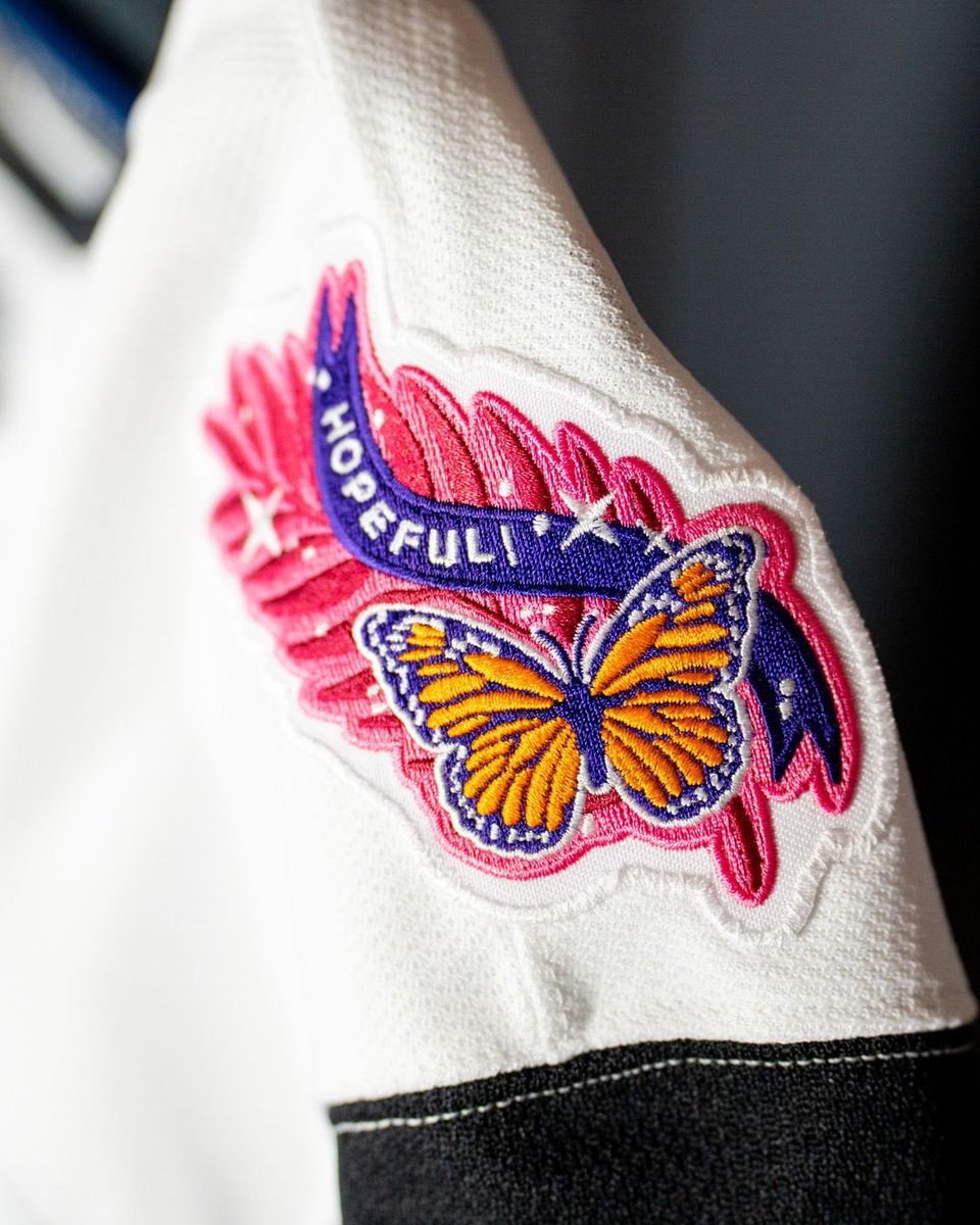 BarDown's tweet image. The Florida Panthers are celebrating breast cancer awareness month by releasing these “Pink in the Rink” jerseys that will be up for auction with proceeds benefitting Promise Fund 🫶

(📸: @FlaPanthers)