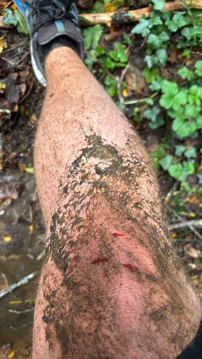 Salaud d’arbre couché. Que fait la ville pour dégager les chemins ! C’est pas un SUV ok, mais quand même. J’avais pas la caméra mais vous auriez vu cette branche se jeter sur moi. Je porte plainte tout de suite. J’ai tapé sur la branche ! Elle a rien dit. #ouinouin #velopromeneur