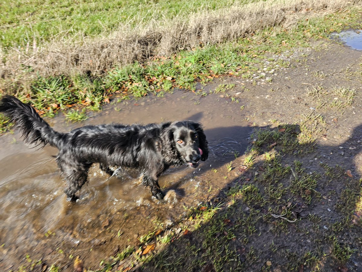 Kat Hart 🌍🏞 tweet media