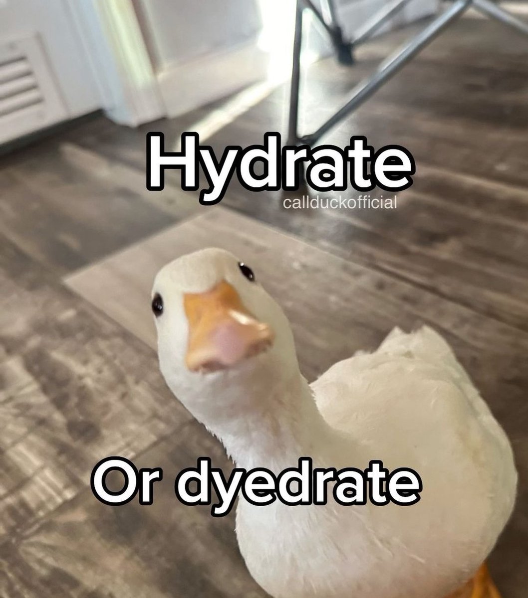 Coach Shore tweet media