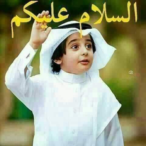 مهندس ايمن عماره tweet media