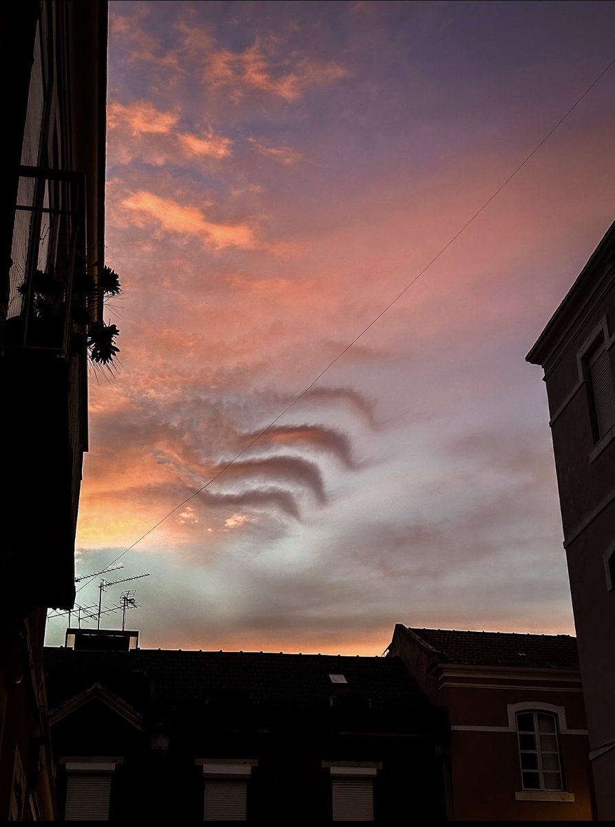 _SheepNiam's tweet image. Par contre c’est une dinguerie tout ça