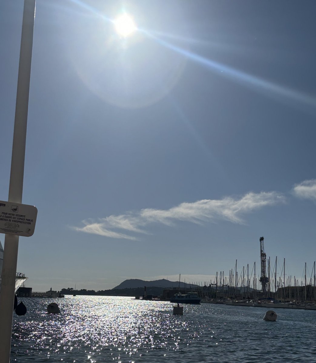 _SheepNiam's tweet image. Par contre c’est une dinguerie tout ça