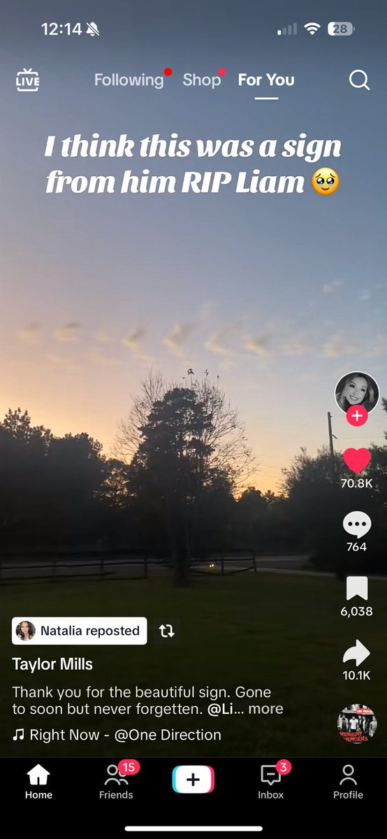 _SheepNiam's tweet image. Par contre c’est une dinguerie tout ça