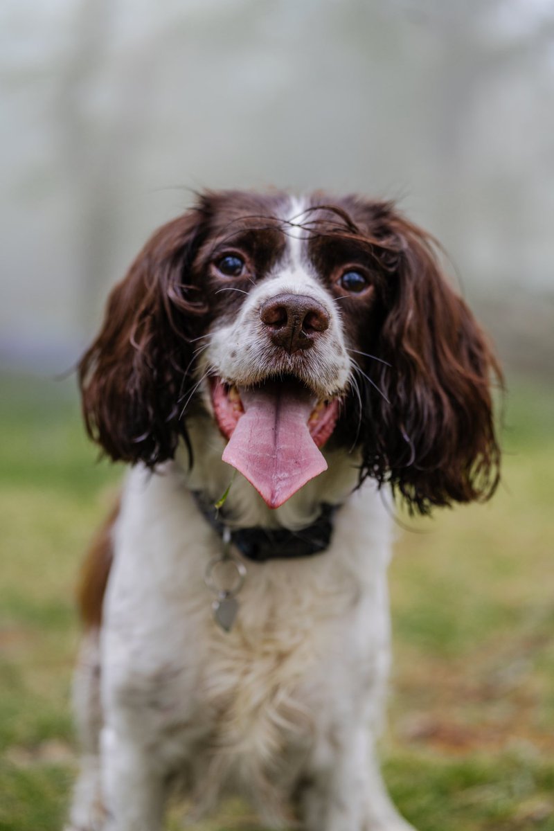 MechanicMills tweet media