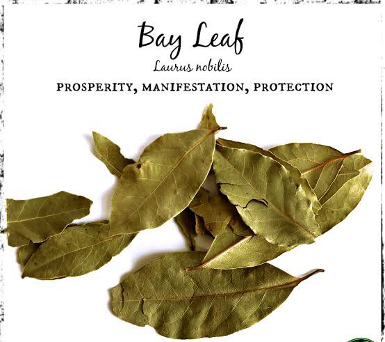 ononoherbals's tweet image. Spiritual USES of BAY LEAVES for Prosperity, Manifestation &amp;amp; Protection! 

 In Yoruba Language it is called "Ewe Bunkun" / "Efirin &amp;amp; "Nchanwu" by the Igbos.
It is the Leaves Women and Caterers put in Jollof-Rice to flavour it and preserve it from souring.  It also boasts a host…