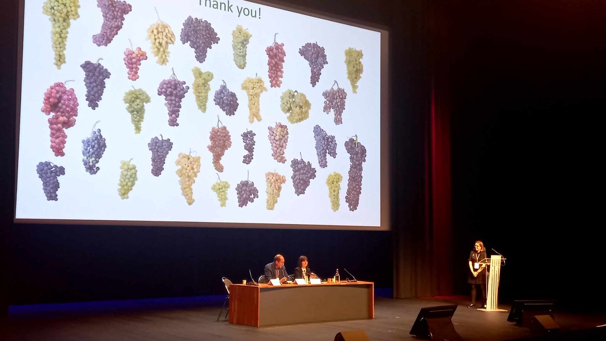 It was a privilege to attend the OIV Dijon 2024 Centenary Congress. I was also honoured to serve as the scientific secretary for the Viticulture Session alongside renowned scientists Luigi Bavaresco and Thierry Lacombe.