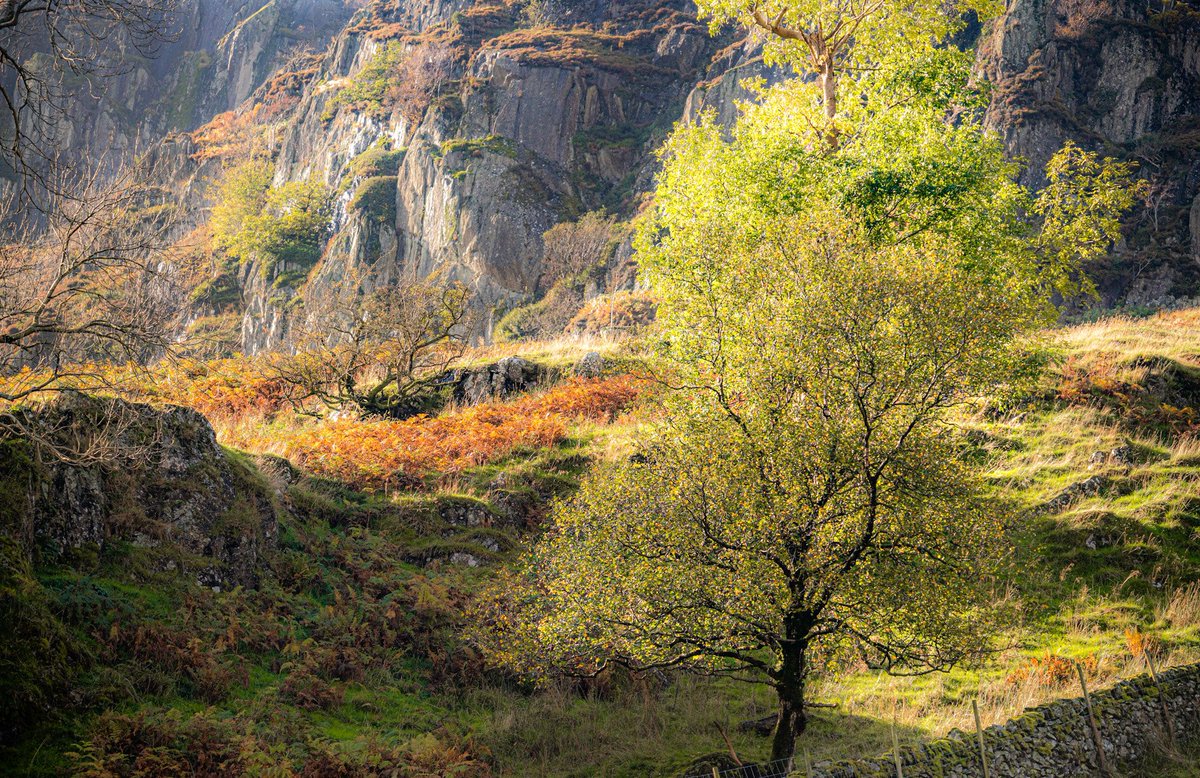 Paula 050840 tweet media