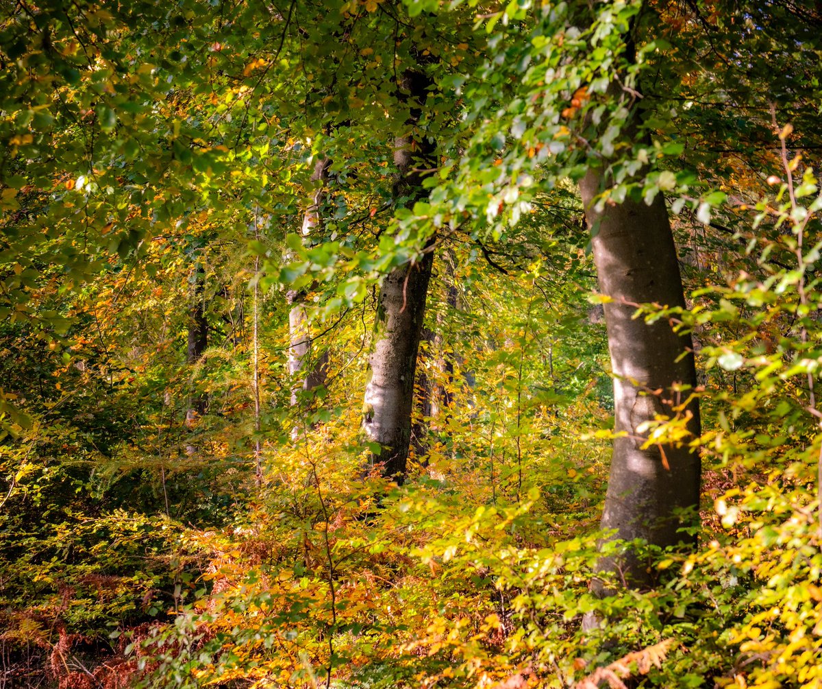 A lovely way to spend a Saturday…