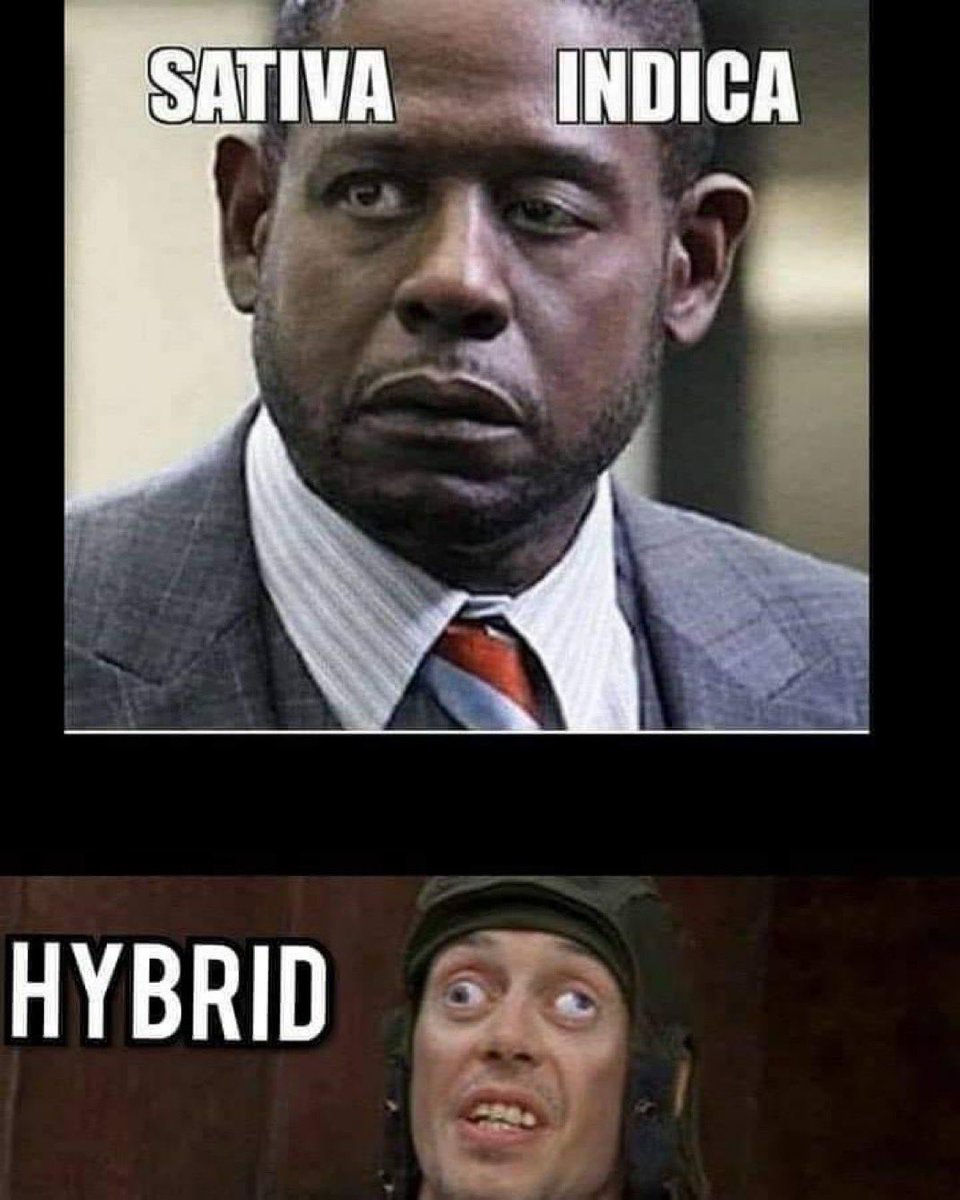 Stoner Barbie tweet media