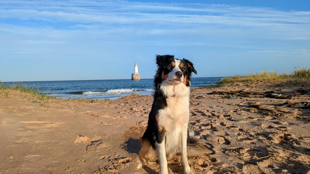 🏴Kenny Armet🏴 tweet media