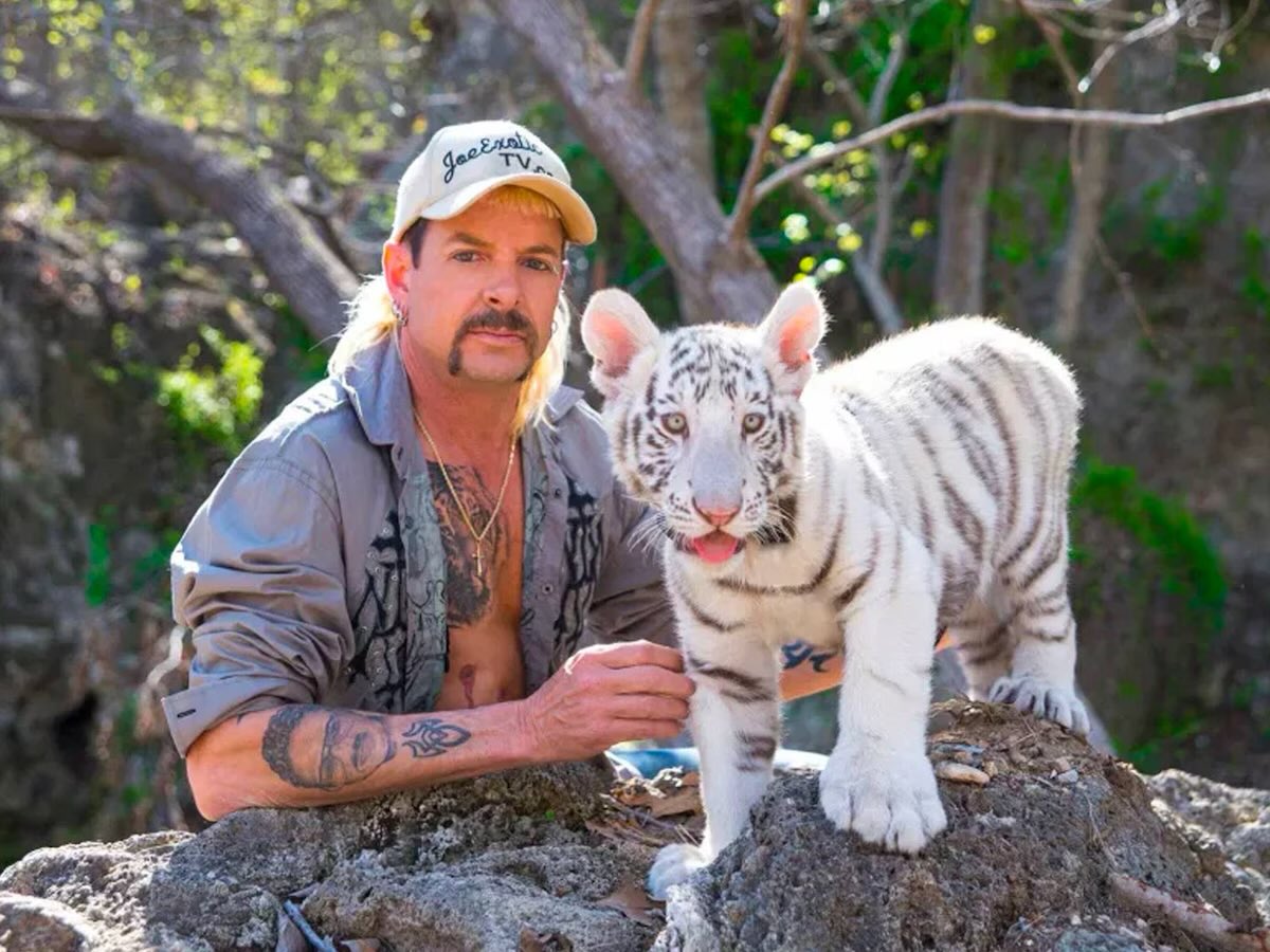 DiMar2170's tweet photo. @Martinpdisalvo El rey tigre https://t.co/kqBYwdeBry