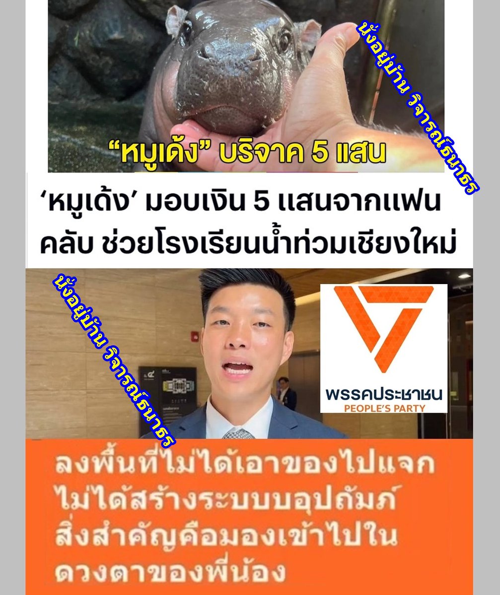 YedTood_V2's tweet photo. สุดทึ่ง ! ที่ประเทศไทยสัตว์เดรัจฉานช่วยเหลือคน มีประโยชน์มากกว่านักการเมืองพรรคส้ม https://t.co/Gx9pEFamrl