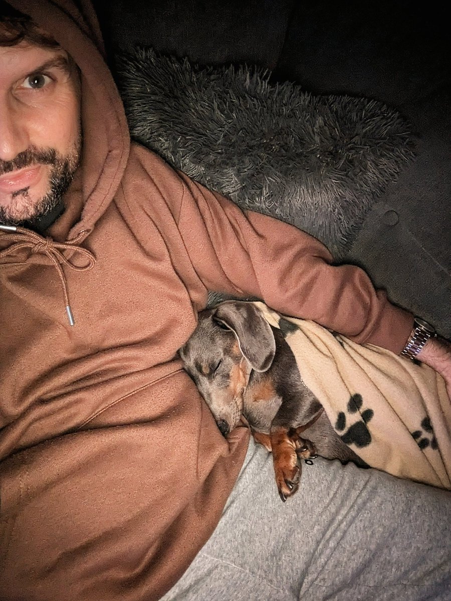 Leeirons's tweet photo. Cozy club in full swing 🐶💙📺 https://t.co/SZCQ2cOVT9