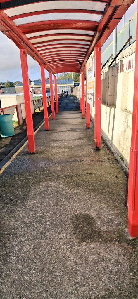 Lee Mayes tweet media