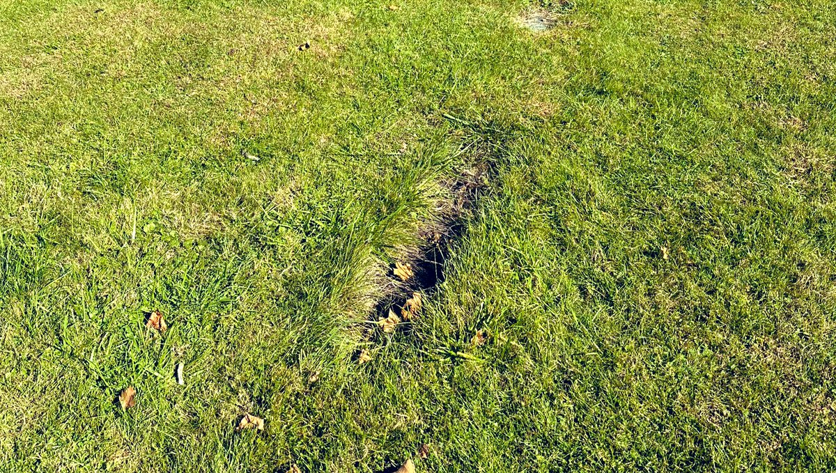 ColinBoardway's tweet image. Patrick Cowley was a pioneer of electronic dance music. He was born in Buffalo, NY and today is his birthday. It’s really hard to find his grave, so I fixed it.