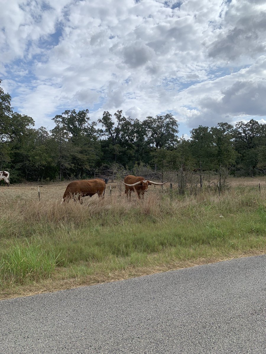 floatingweeds_'s tweet photo. Rode 100 miles yesterday https://t.co/3o4p9DbMhy