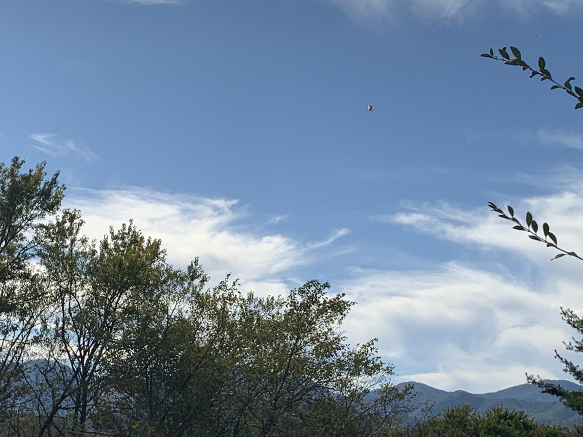 ResoluteHeart26's tweet photo. Another beautiful day. Take some time to go outside, enjoy the fresh fall air and sunshine this weekend.
Smile. Relax. Find your peace and joy. ❤️🥰
#POstables #OPLiveNation
#WNC #MyHappyPlace
#SaturdayViews #blessed https://t.co/2td3RCYwpG