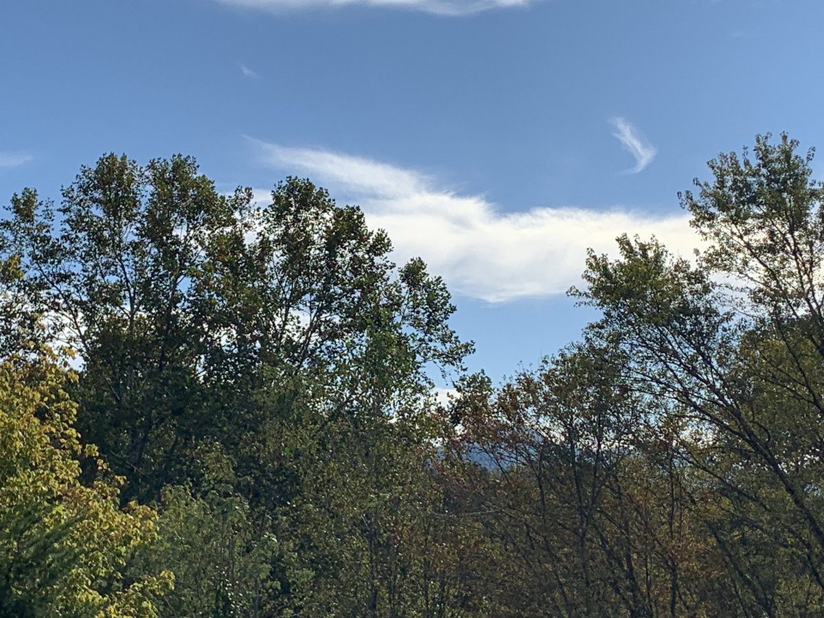 ResoluteHeart26's tweet photo. Another beautiful day. Take some time to go outside, enjoy the fresh fall air and sunshine this weekend.
Smile. Relax. Find your peace and joy. ❤️🥰
#POstables #OPLiveNation
#WNC #MyHappyPlace
#SaturdayViews #blessed https://t.co/2td3RCYwpG