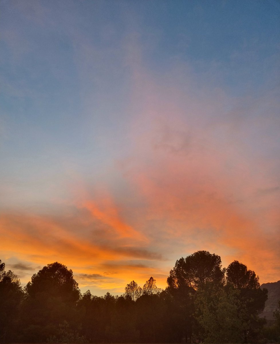 carmencs911's tweet photo. El olor a café, un mensaje inesperado o un buen atardecer son esas pequeñas cosas que me hacen inmensamente feliz ❤️‍🩹 https://t.co/4XpJXKjc3p