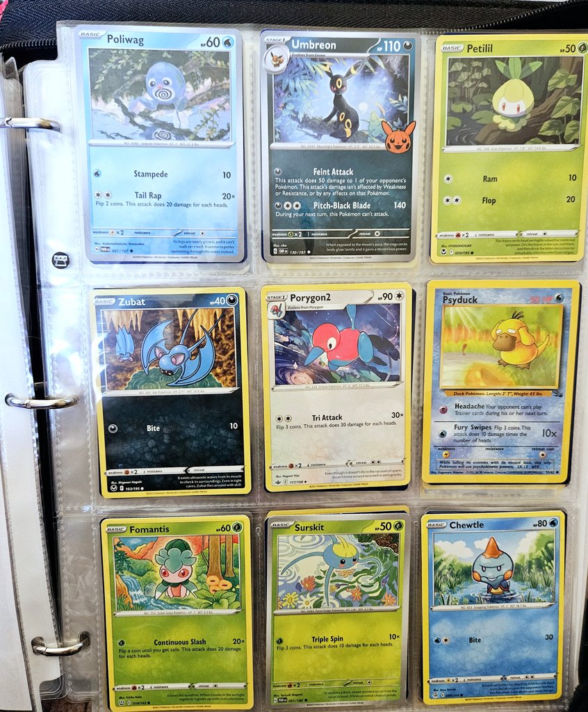 JennyENicholson's tweet image. Does anyone else organize their cards like this