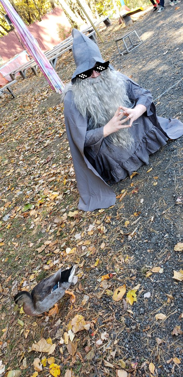SumattoYT's tweet photo. Just a wizard with his wife that he turned into a duck https://t.co/PF8Sv8RlmB
