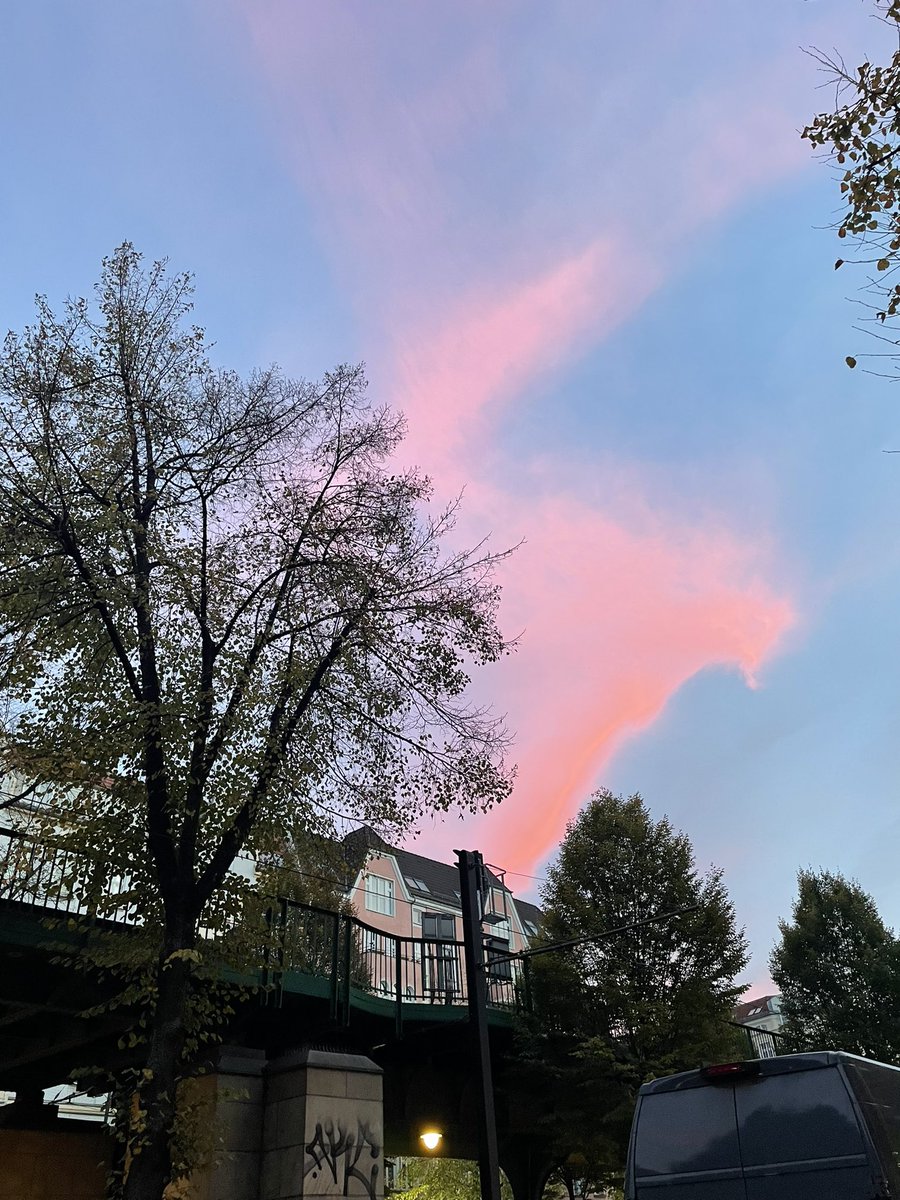 Katy in Berlin tweet media