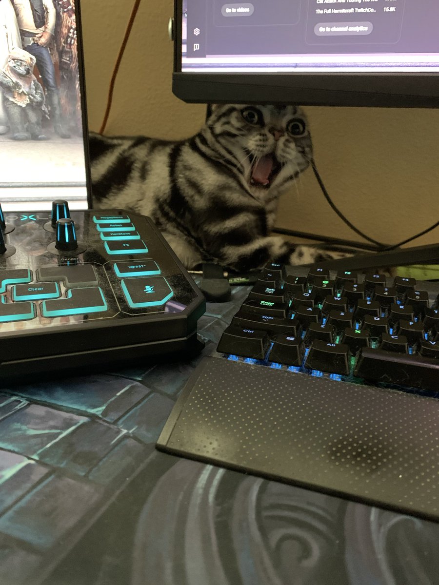 GoodTimesWithScar tweet media