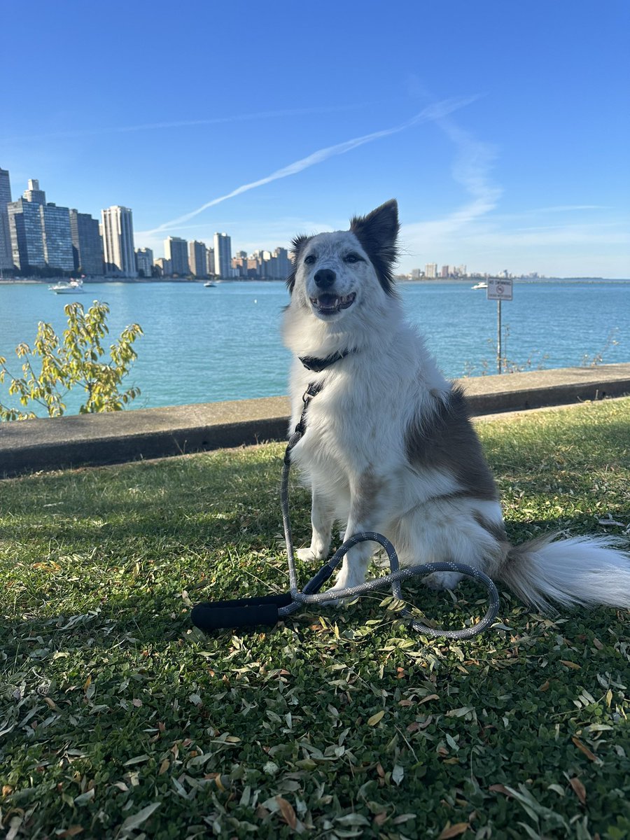 Gorgeous (the weather, not me)