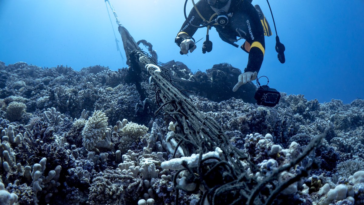 slayerjon's tweet photo. Some of the most remote and beautiful reefs I've ever dived. Despite being uninhabited and several thousand miles from the nearest city these seas are still impacted by us. In this case drifting fishing gear snagged and dragging through delicate coral towers https://t.co/BkJnv5DbrG