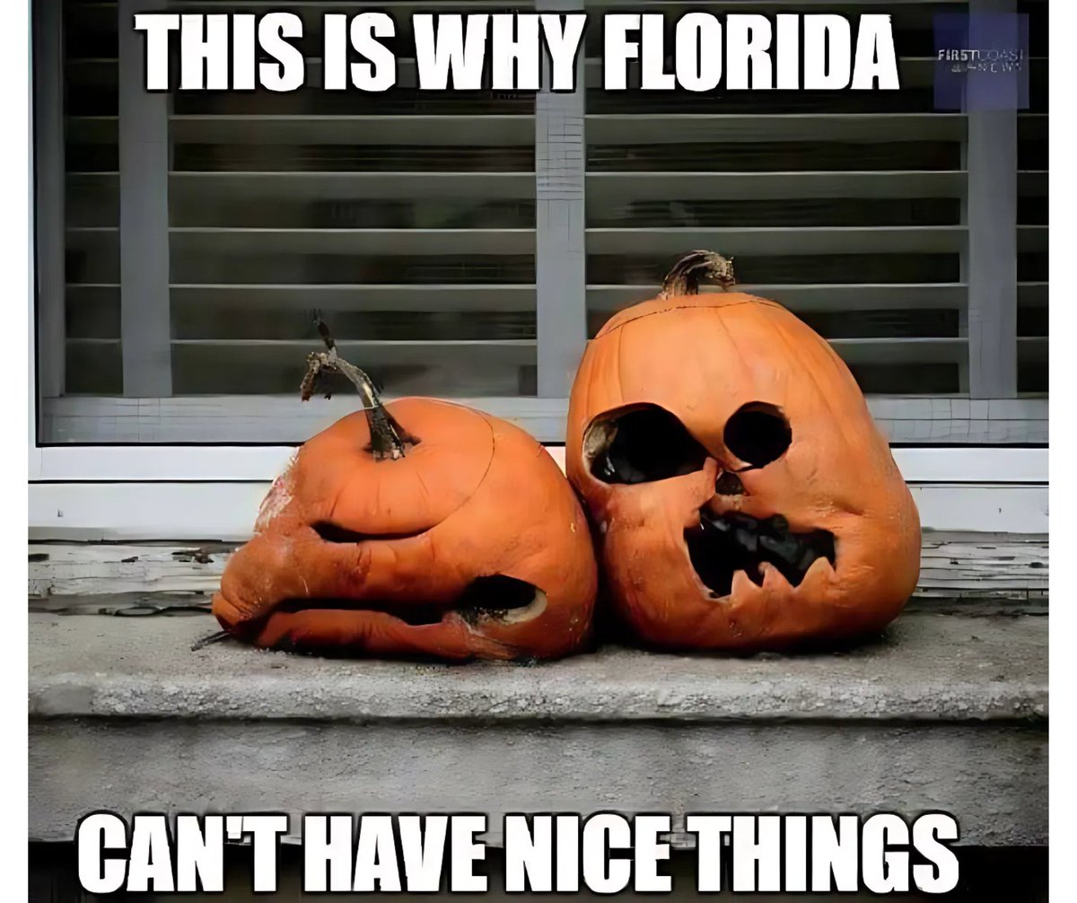Topquoteins's tweet image. Florida heat: where even pumpkins can&apos;t survive the season! 🎃🔥 #FloridaLife #PumpkinProblems #FallFails