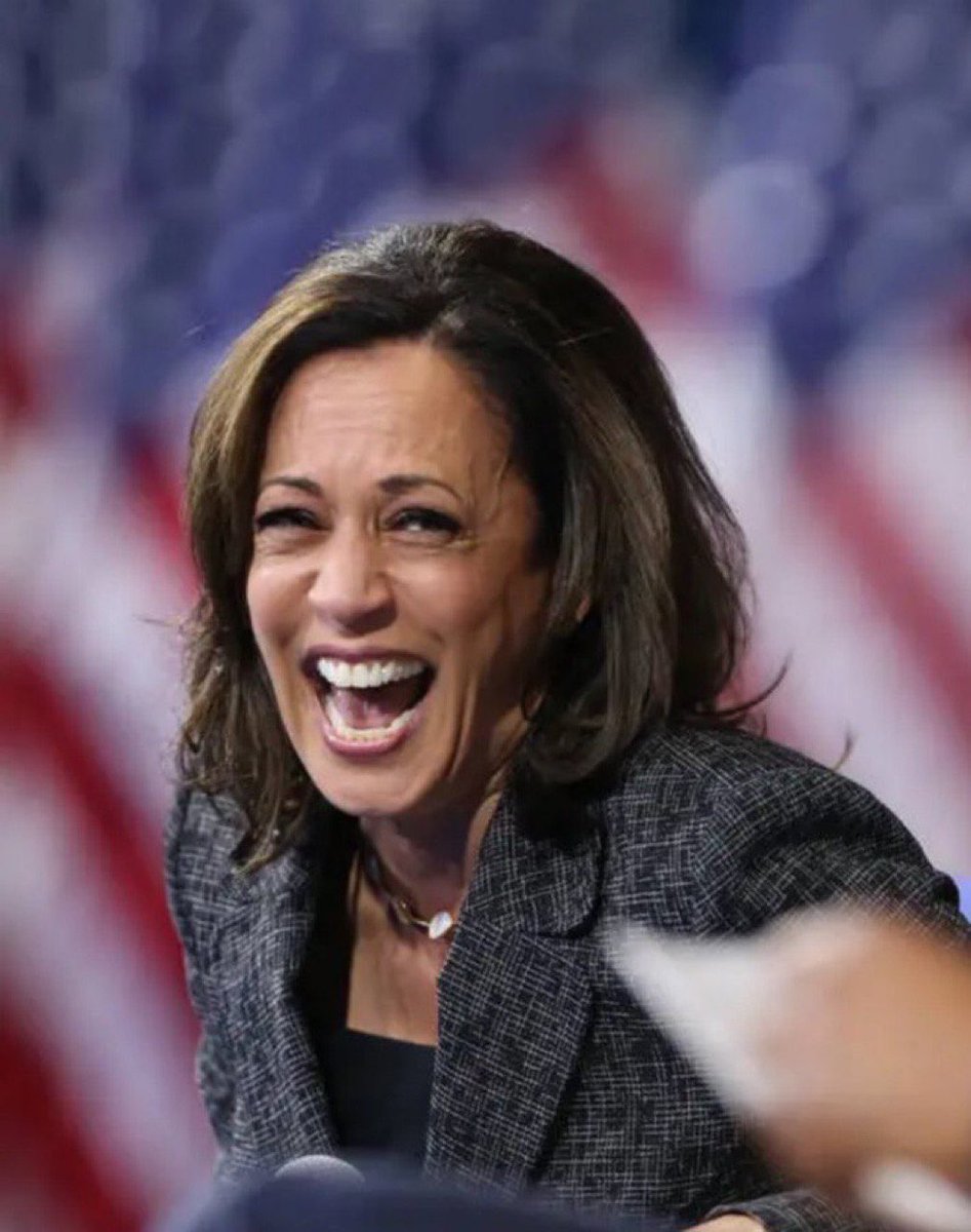 TatanaK48911803's tweet photo. At a Kamala Harris rally, someone shouted: "Jesus is Lord." She responded: "You're at the wrong rally." After these words from Kamala Harris, it is necessary to remind her that the  constitutions of all 50 states that make up the United States contain an appeal to God! In the US Declaration of Independence, adopted on July 4, 1776, God is mentioned several times, in particular, already in the first sentence, and the Declaration ends with an appeal to the Almighty to confirm the honesty of the intentions of the US representatives and a statement of confidence that Divine Providence is on the side of the United States. Therefore, Kamala Harris, who is now claiming the presidential seat of America, has no right to disrespect people's faith in God or to deny him. Probably her Prompter did not have time to tell her "Shut up!" as her colleagues say to her when she starts laughing hysterically for no reason while communicating with other people. Today, the population of the United States is about 300 million people. Kamala Harris is already today expelling a Christian from her ranks, violating the Constitutions of all states and forgetting about the Declaration of Independence of the USA! Can this man be trusted with the fate of America and the American people?!