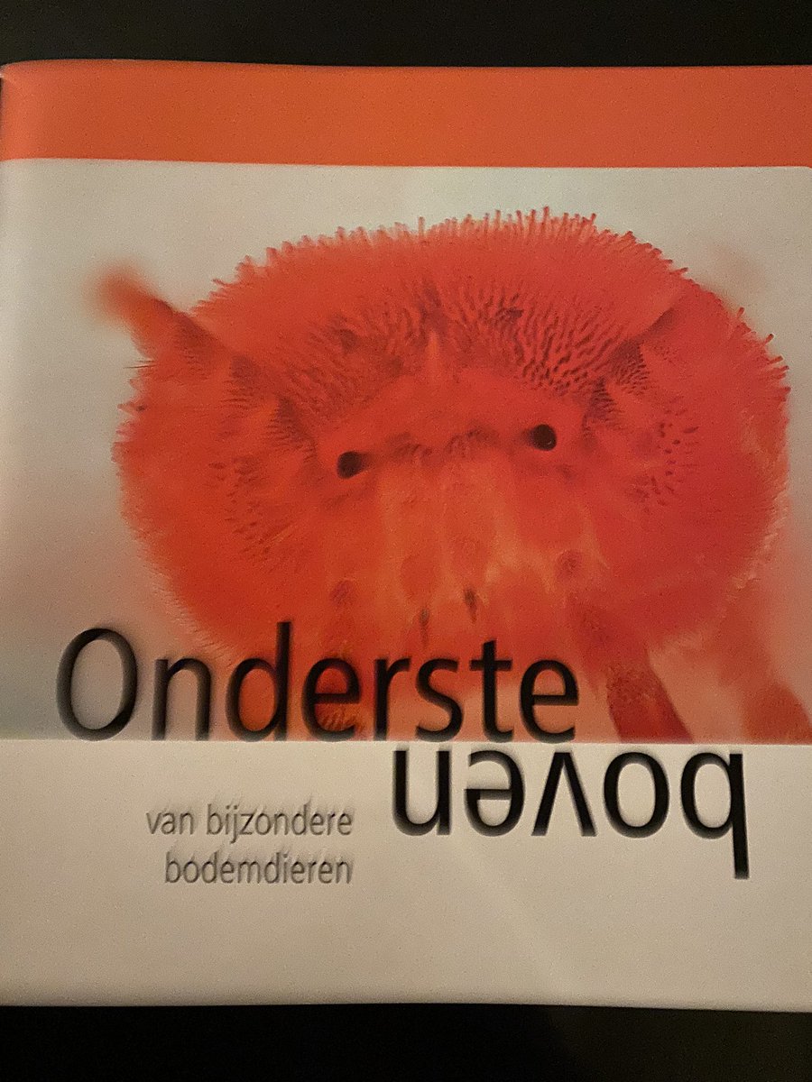 Anke Olthoff 🌱🪱♻️🌾 tweet media