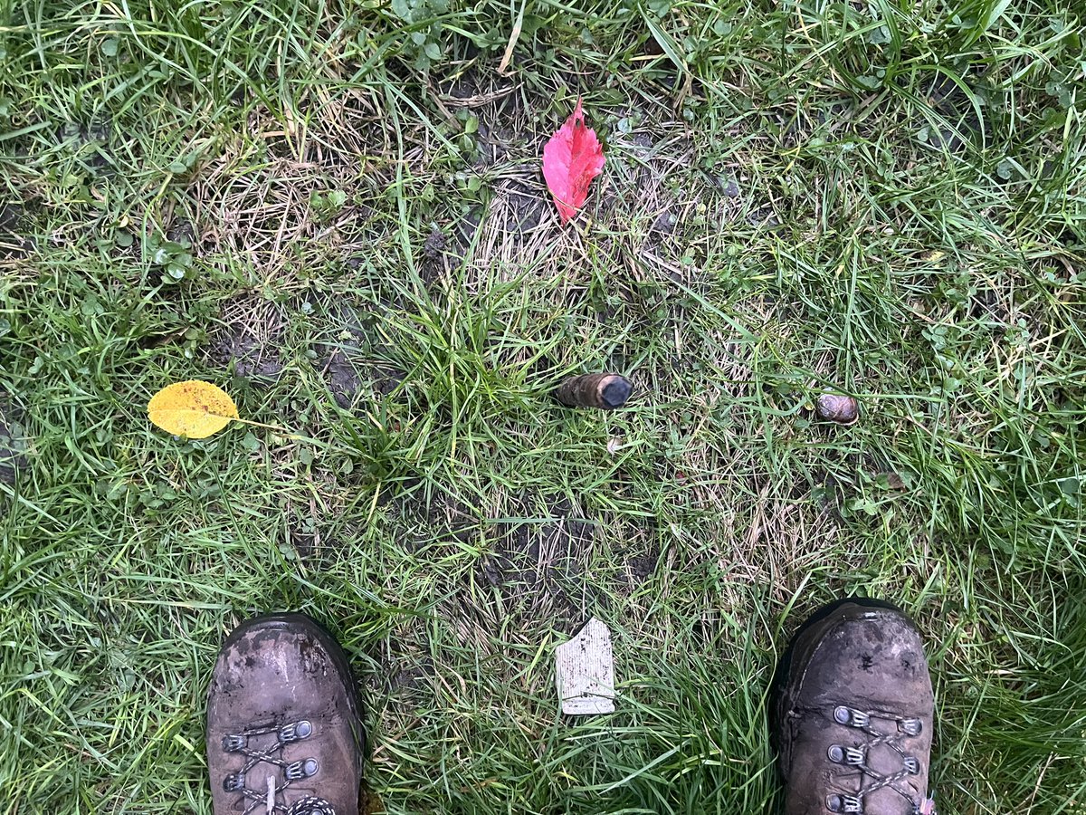 Marking the 4 cardinal points intuitively with things found in nature to represent their elements…🌎💨🔥💦 Can you close your eyes &amp; point North? 🧭

How connected are we to the land…? 
Try it… close your eyes, connect &amp; point North! How close did you get…? <a href="/JY8Shields/">Jon Young & 8Shields</a> 🙏🏼