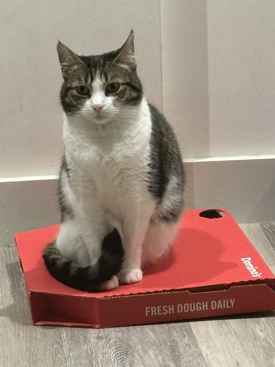 𝐚𝗺𝐲𝐣𝐚𝐝𝐞 tweet media