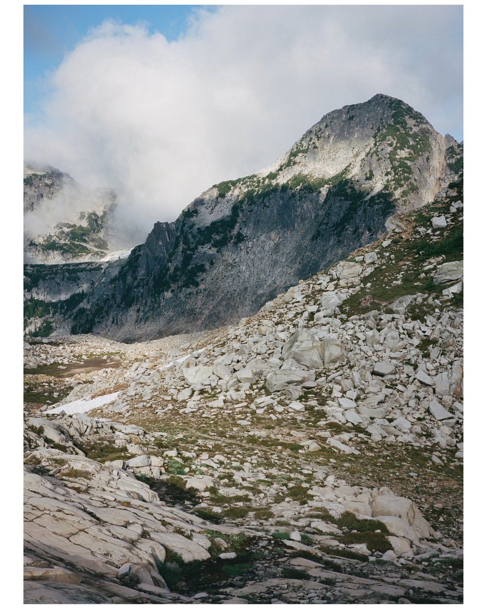 forestoutside's tweet image. Medium Format 🎞️