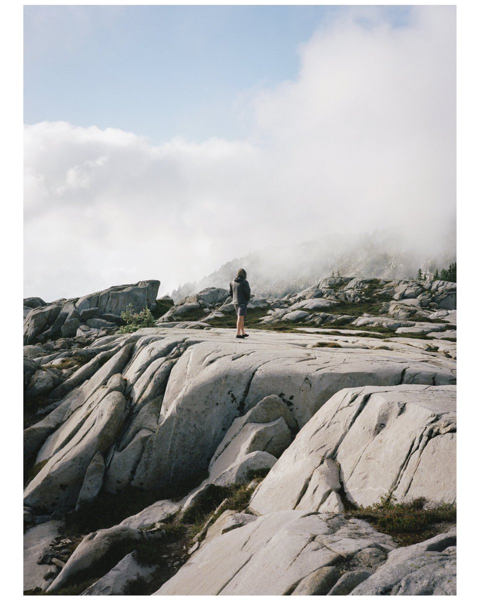 forestoutside's tweet image. Medium Format 🎞️