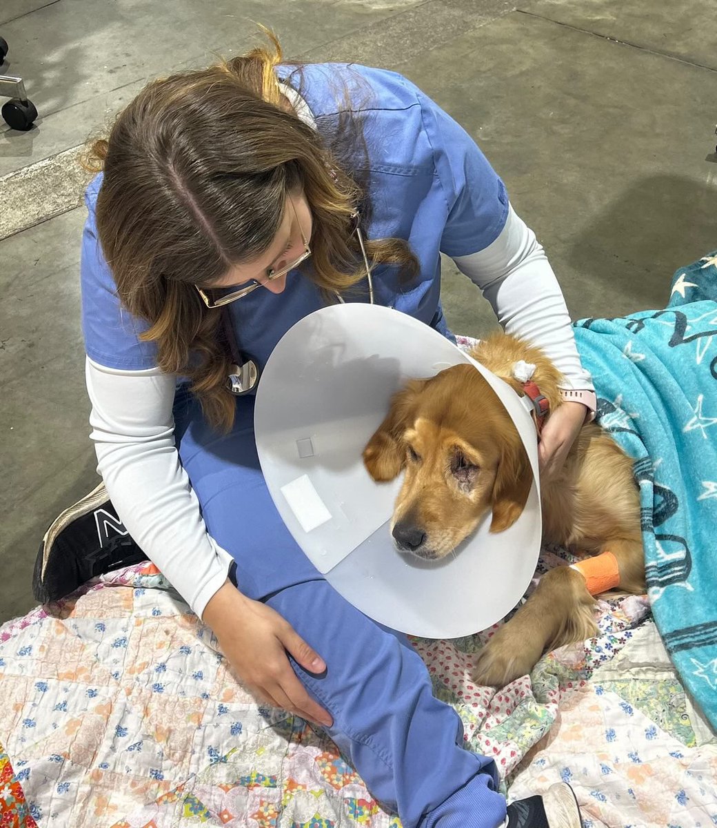 Our Vet (Dr. Charlie) sent us this photo of her comforting Beaker after her surgery.

Not going to lie, it made us tear up.

Veterinary Doctors and Vet Staff are the front lines against death and pain with our all of our pets.

They have a tough job, with hard days.

If you are a