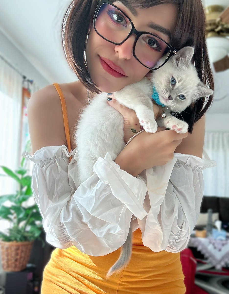 SherrySnax tweet media