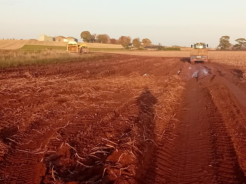 Bit of a soggy bottom.