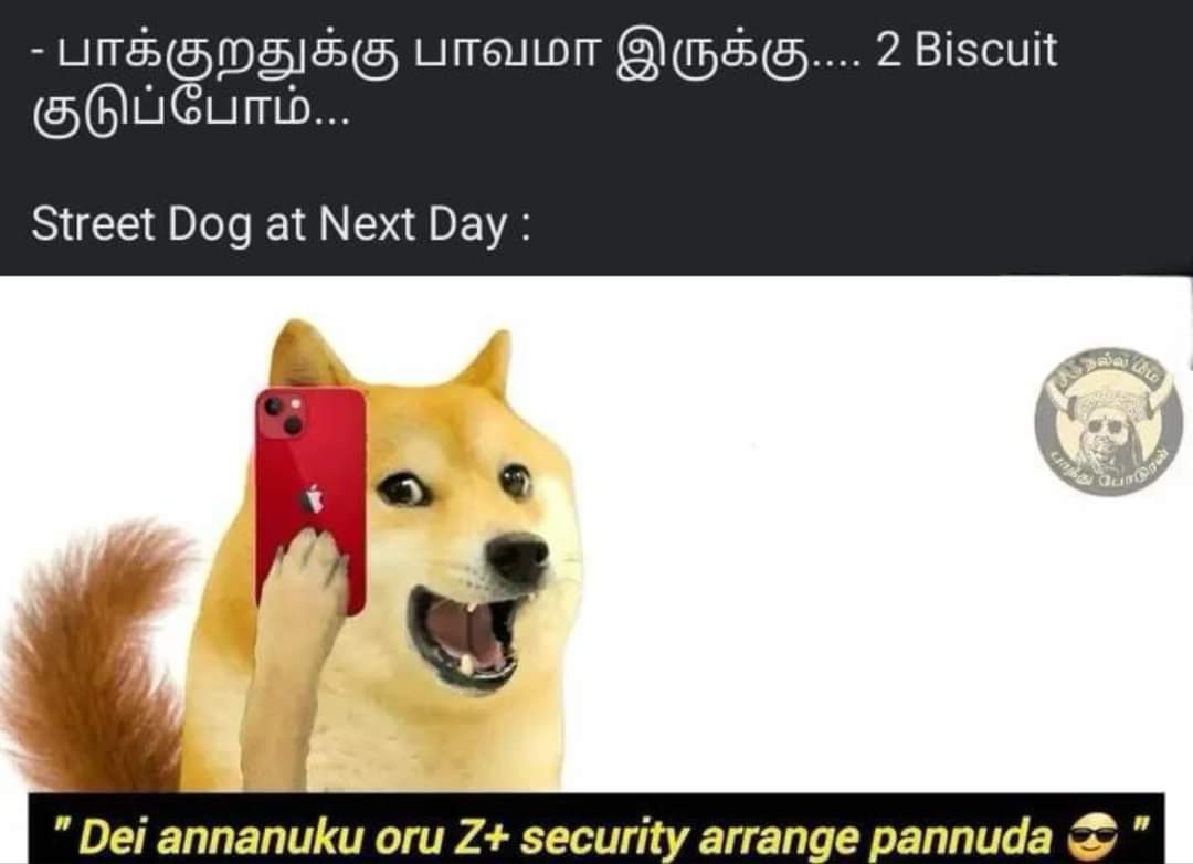 Meenash07295512's tweet photo. Dog...😎 https://t.co/JncsYFzAvj