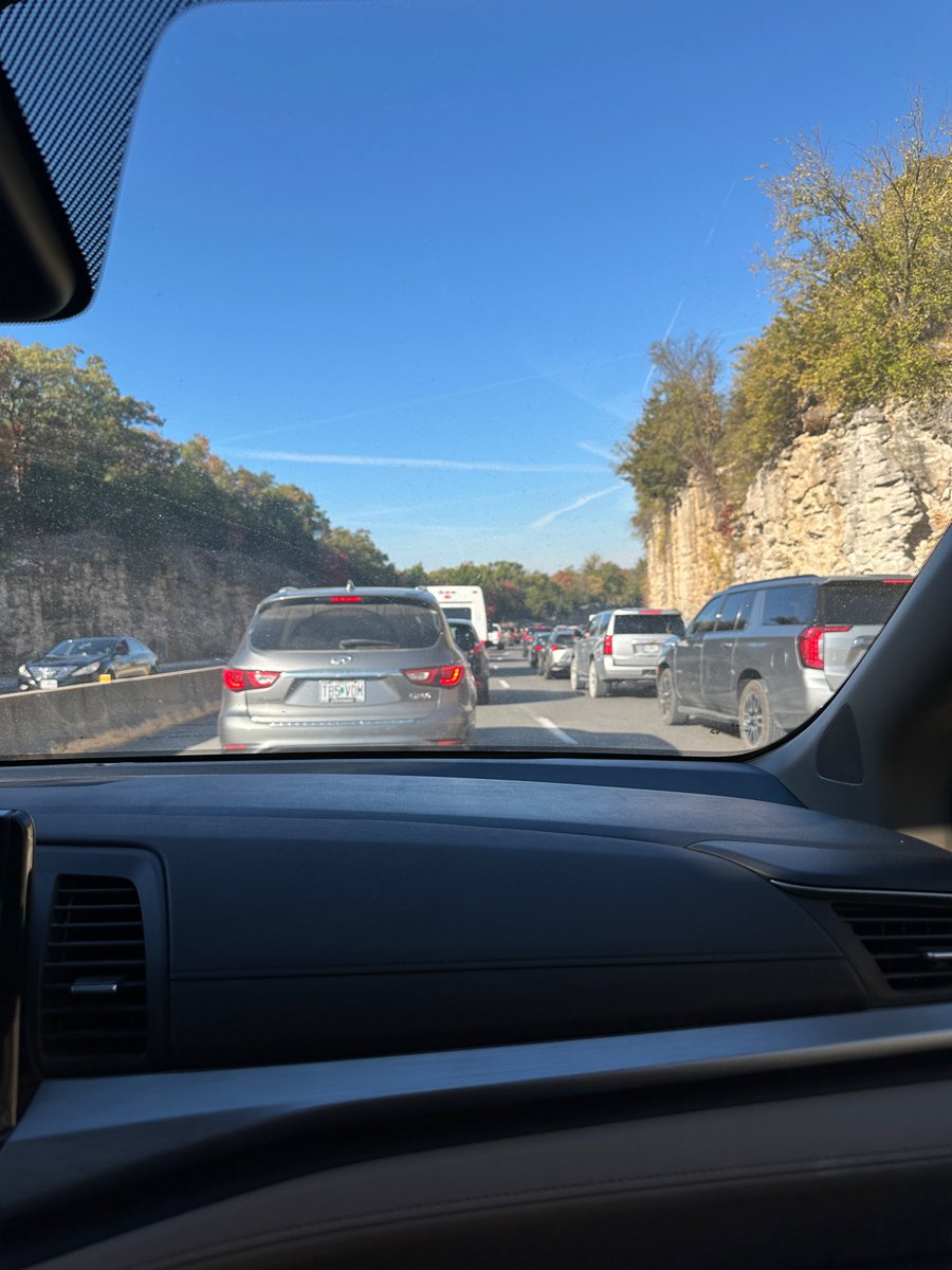 Elizabeth Stephens tweet media