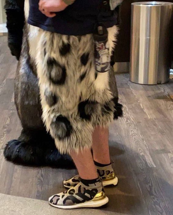 no context furry tweet media