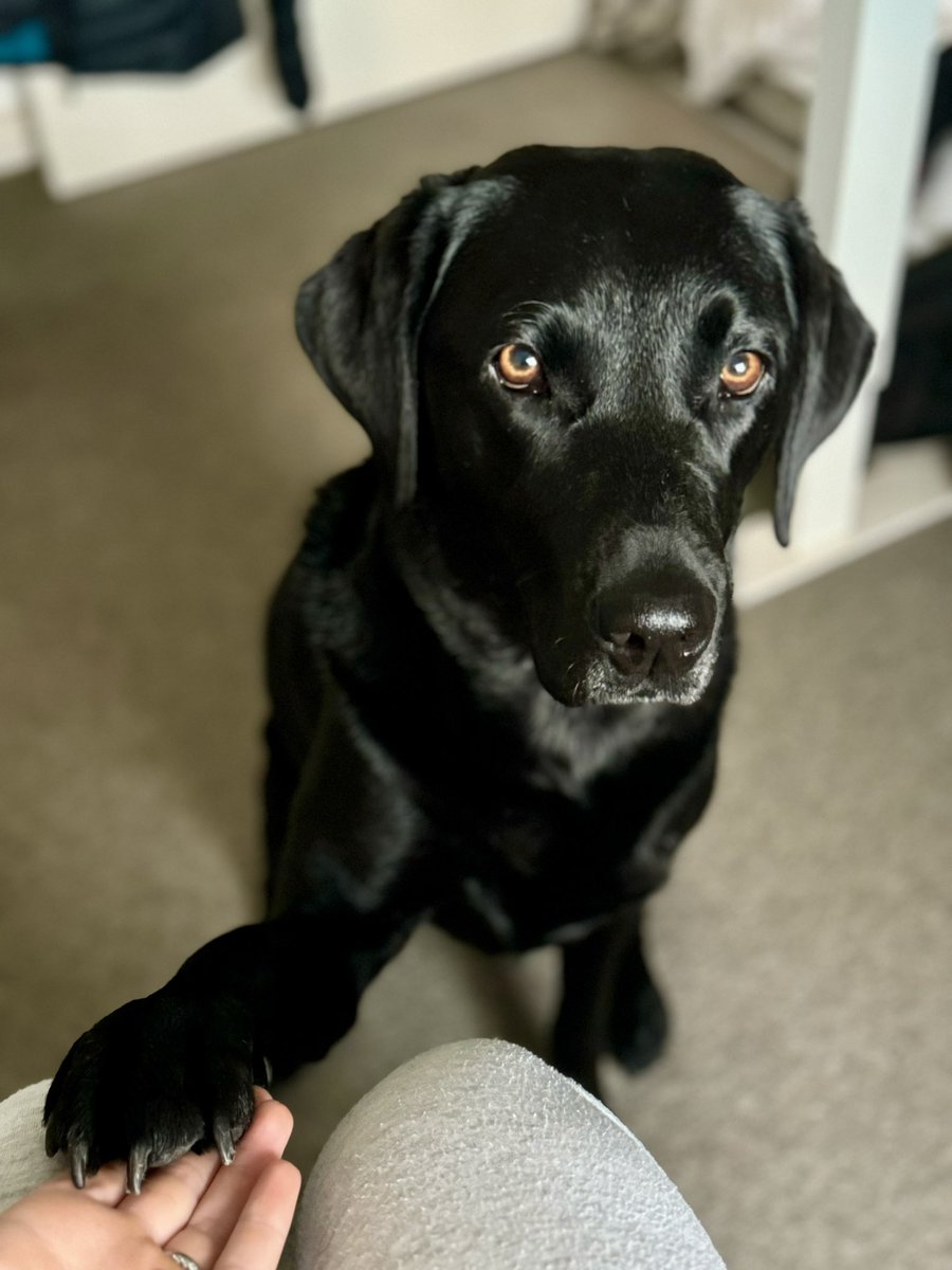 Samantha Rowland tweet media