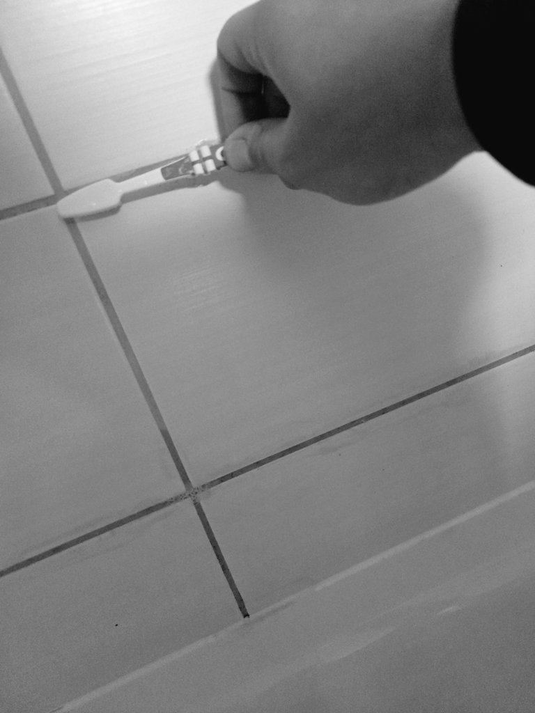 Während <a href="/HerrschaftBB/">HerrschaftB&B</a> unterwegs ist und Ihre Freizeit genießt, habe ich meine Aufgaben zu erledigen! Hoffe zur Zufriedenheit meiner Besitzer🧎