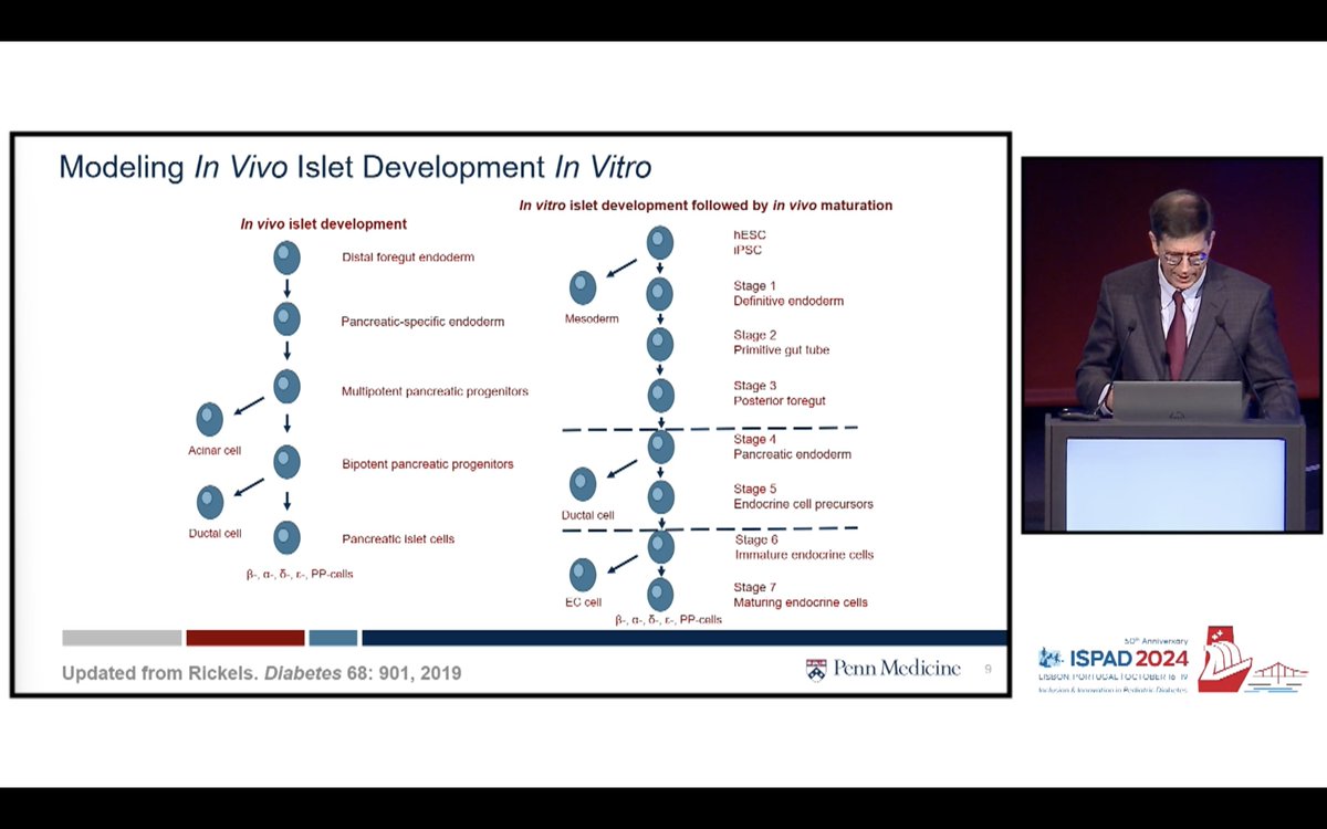 1derfultype's tweet photo. @ispad_org @dedocORG Unveiling the Power of Stem Cell-Derived Pancreatic Islets -M R Rickels
Limitation - access to islets:
✅ Stem cells - in vivo, in vitro & in vivo
✅ @VertexPharma works on VX-880 rn tested in phase 1 & 2 CT
🧑🤝🧑 14 enrolled
⬆️ #Cpeptide & #OGTT
#ISPAD2024 #dedoc° @ispad_org #T1D https://t.co/B68utxWSpM