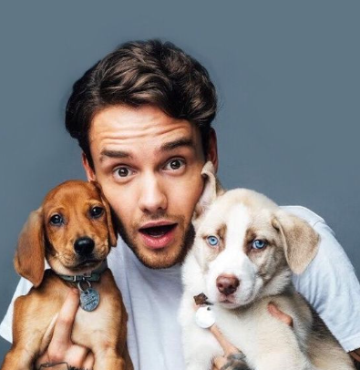 stilloutzide's tweet photo. ¿se acuerdan cuando hacíamos eso de limpiar búsquedas? por qué no hacemos lo mismo?? y ponemos "fotos de liam"? o "cuerpo de liam payne"? y en lugar de ESAS fotos ponemos fotos de las lindas y de él siendo feliz https://t.co/KrDpKJtsOe
