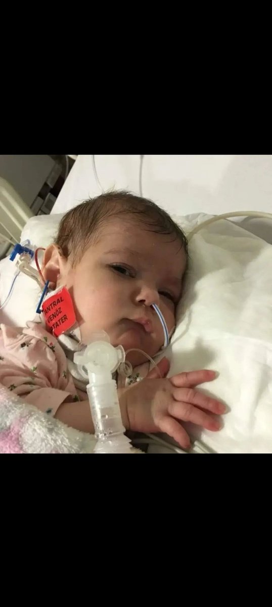 2021 yılında Esenler Güney Hastanesinde, solunum yetmezliği sebebiyle yoğun bakımda 6 ay boyunca Dr.Fırat,Dr.İlker, Hüseyin Günerhan, Doğukan tarafından tutulan yeğenim şaibeli şekilde vefat etti.İlgili hastaneler kapatılmalı!!
#mayaicinadalet 
#yenidoğanbebekcetesi 
#bebekçetesi